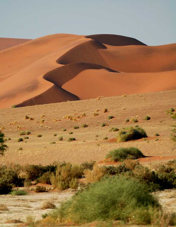 028 Sossusvlei Dunes