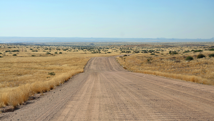 069 Damaraland Savannah