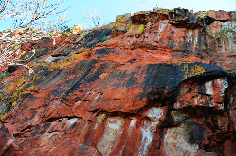 345 Waterberg Plateau Hard Trek